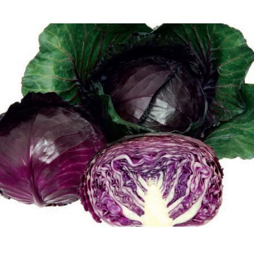 Seminte profesionale de varza rosie Red Jewel, 1000 sem Sakata
