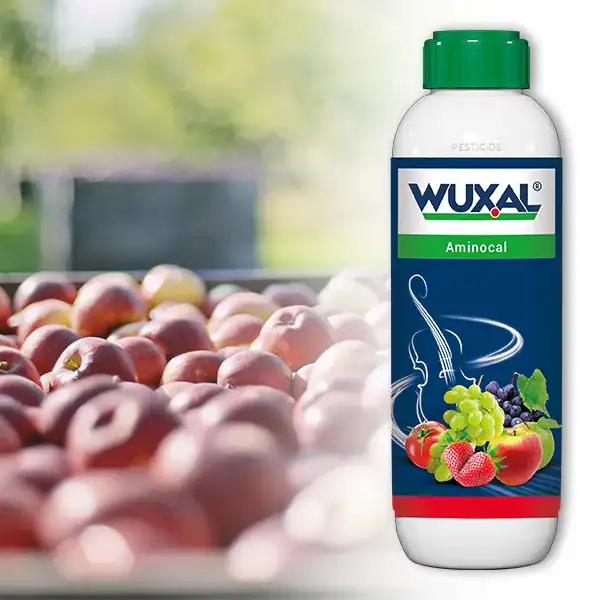 Biostimulator WUXAL® AMINOCAL