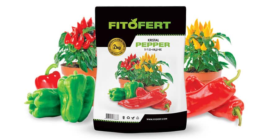 Ingrasamant Fitofert Kristal Pepper 11-07-33+4 MgO+TE 25 kg