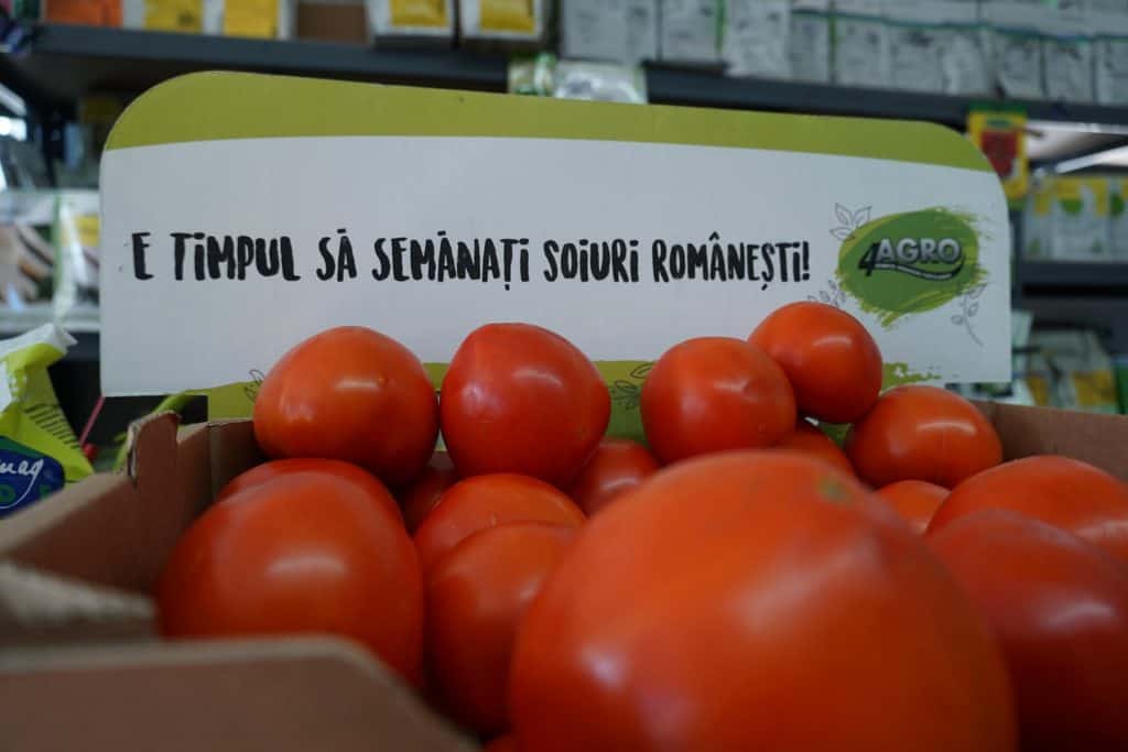 Tomate Zaraza 100 seminte