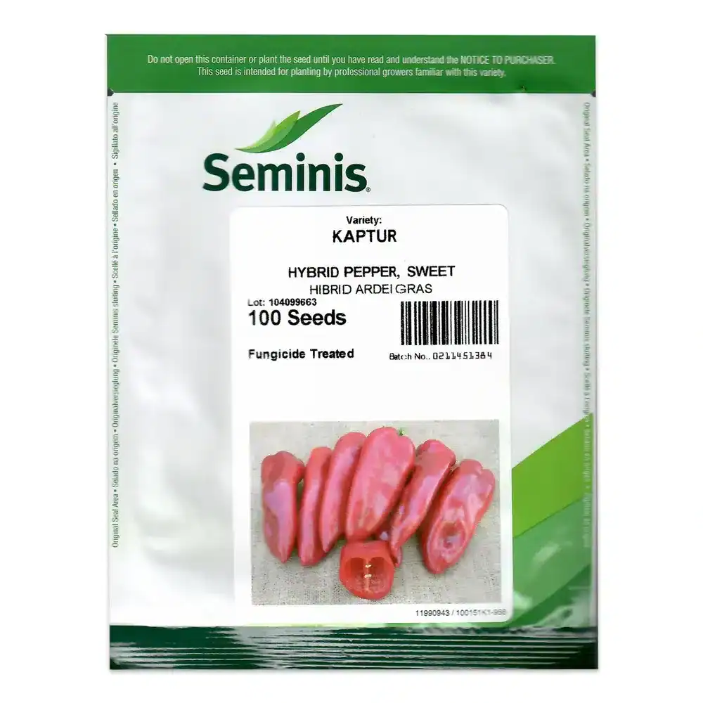 Seminte Ardei Kapia Kaptur F1 - Seminis (Hibrid Profesional) 500 SEMINTE