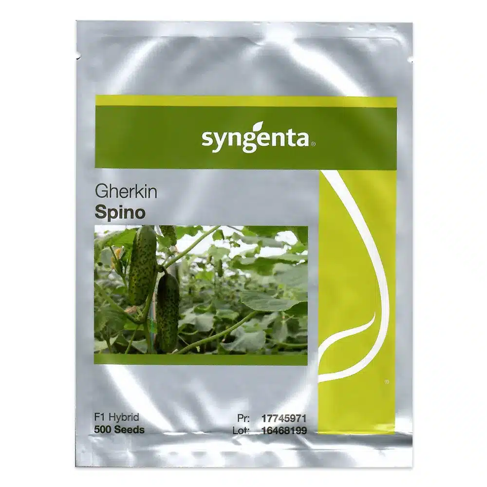 Castraveți SPINO F1 (500 sem) – Regele Timpurietății